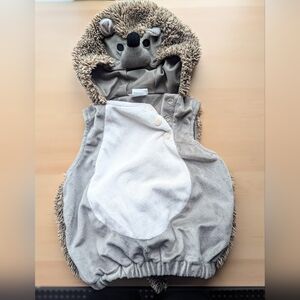 Like NEW 6-12 Month Hedgehog Halloween Costume
